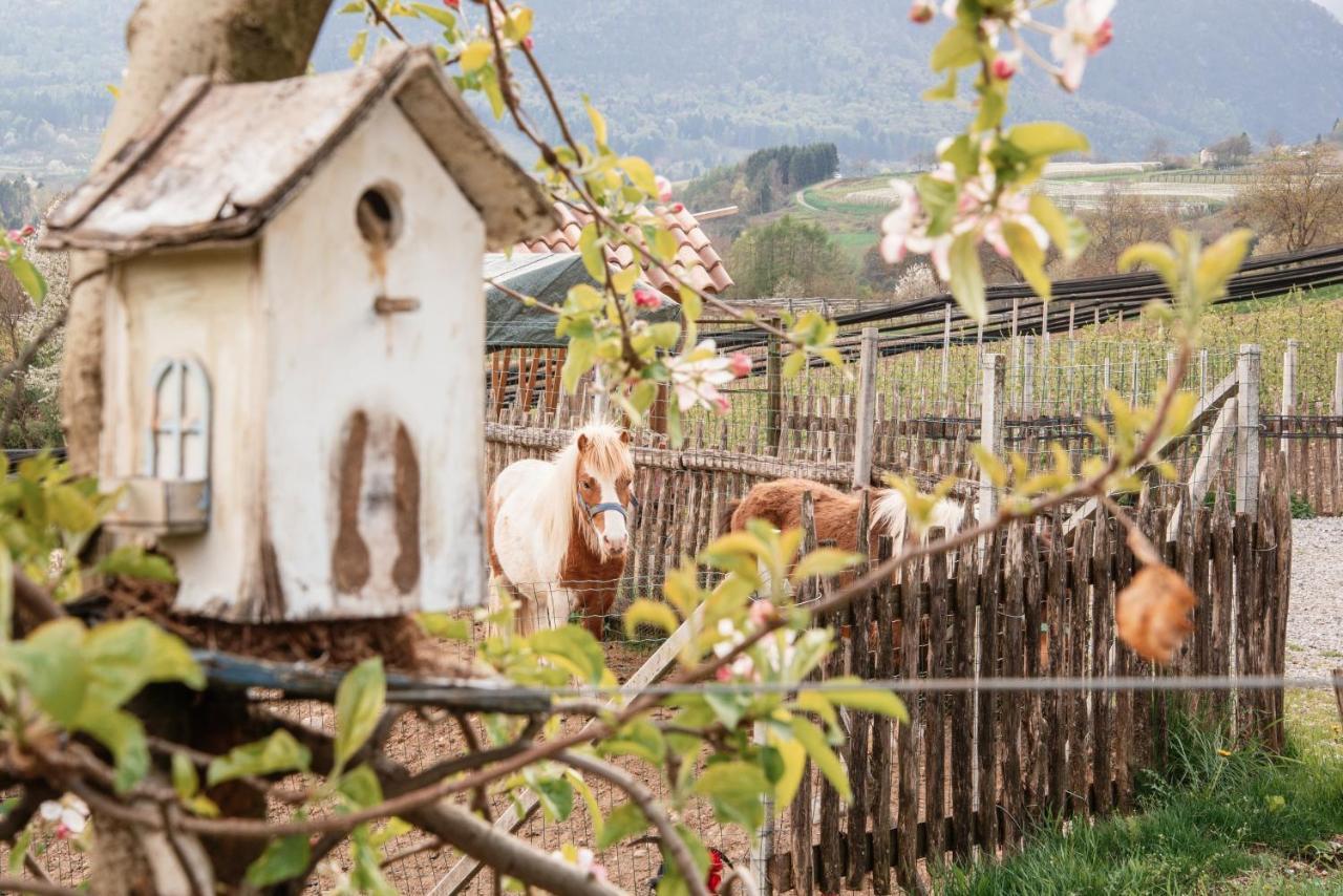 Maso Caliari Villa Bono  Dış mekan fotoğraf